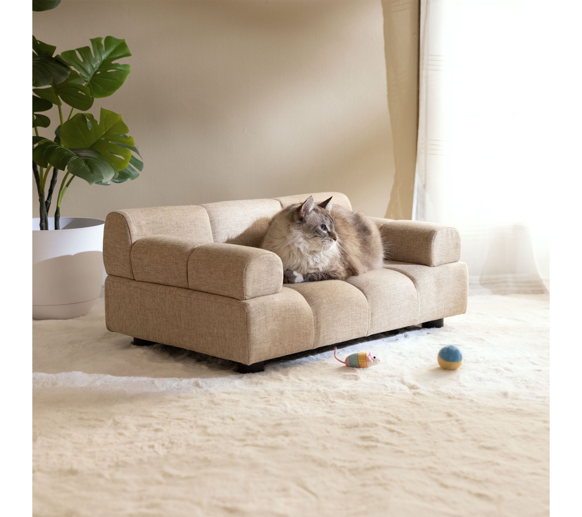 Paws & Purrs Pet Puffer Indoor Dog & Cat Bed