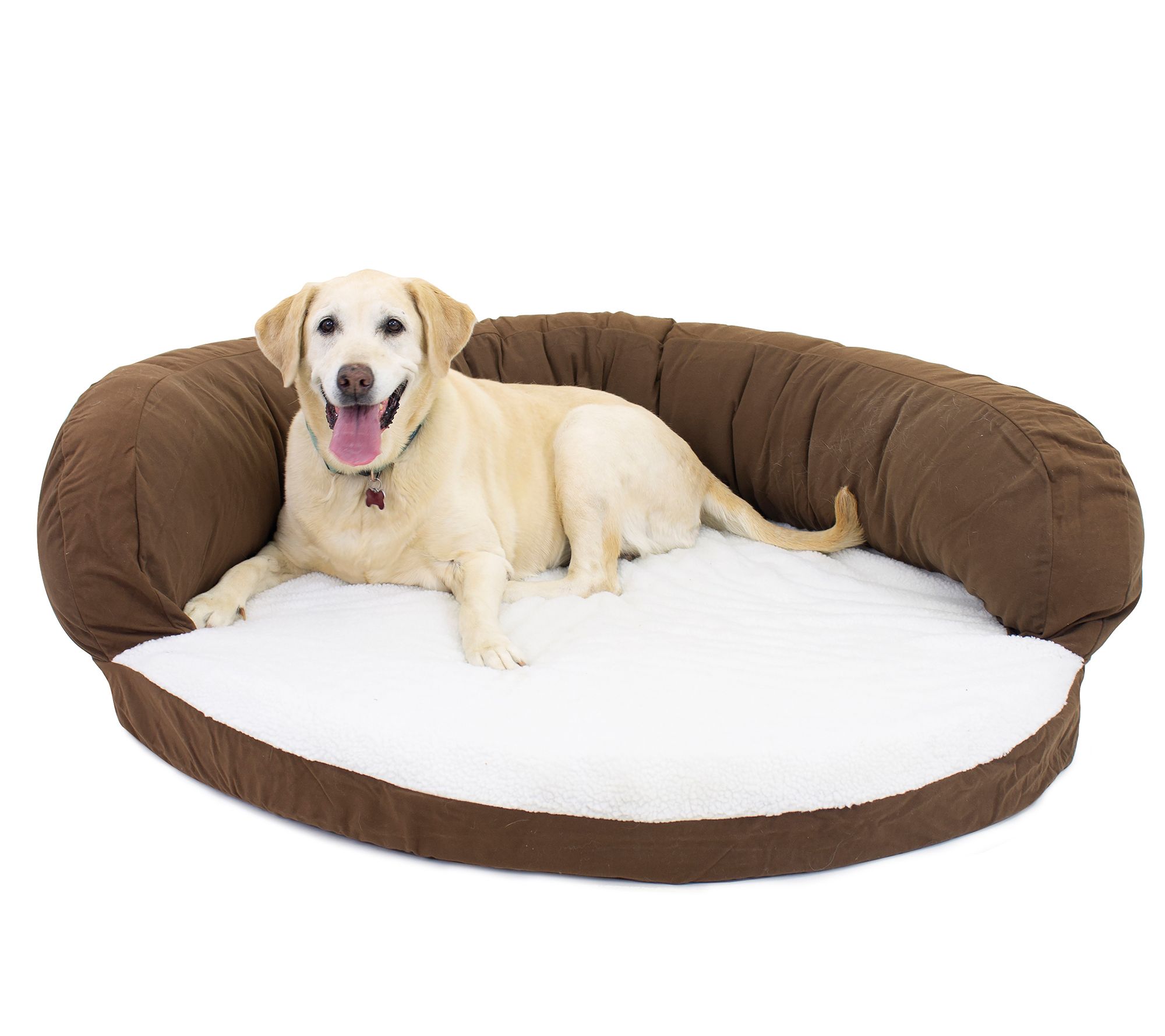 Carolina Pet Large Ortho Sleeper Bolster Bed - QVC.com