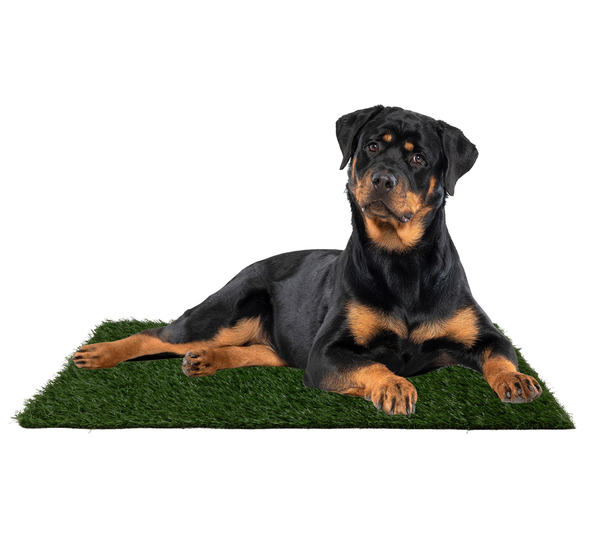 Petmaker Set of 3 Reusable Pee Pad Replacements41x27