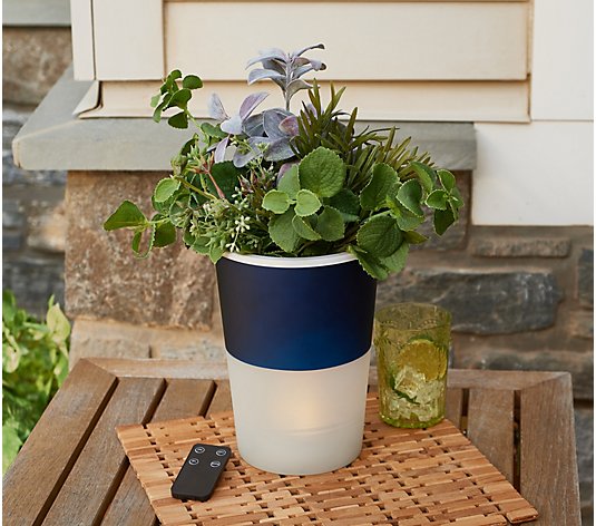 Lightscapes Illuminated Self-Watering 6.5" Planter With Remote