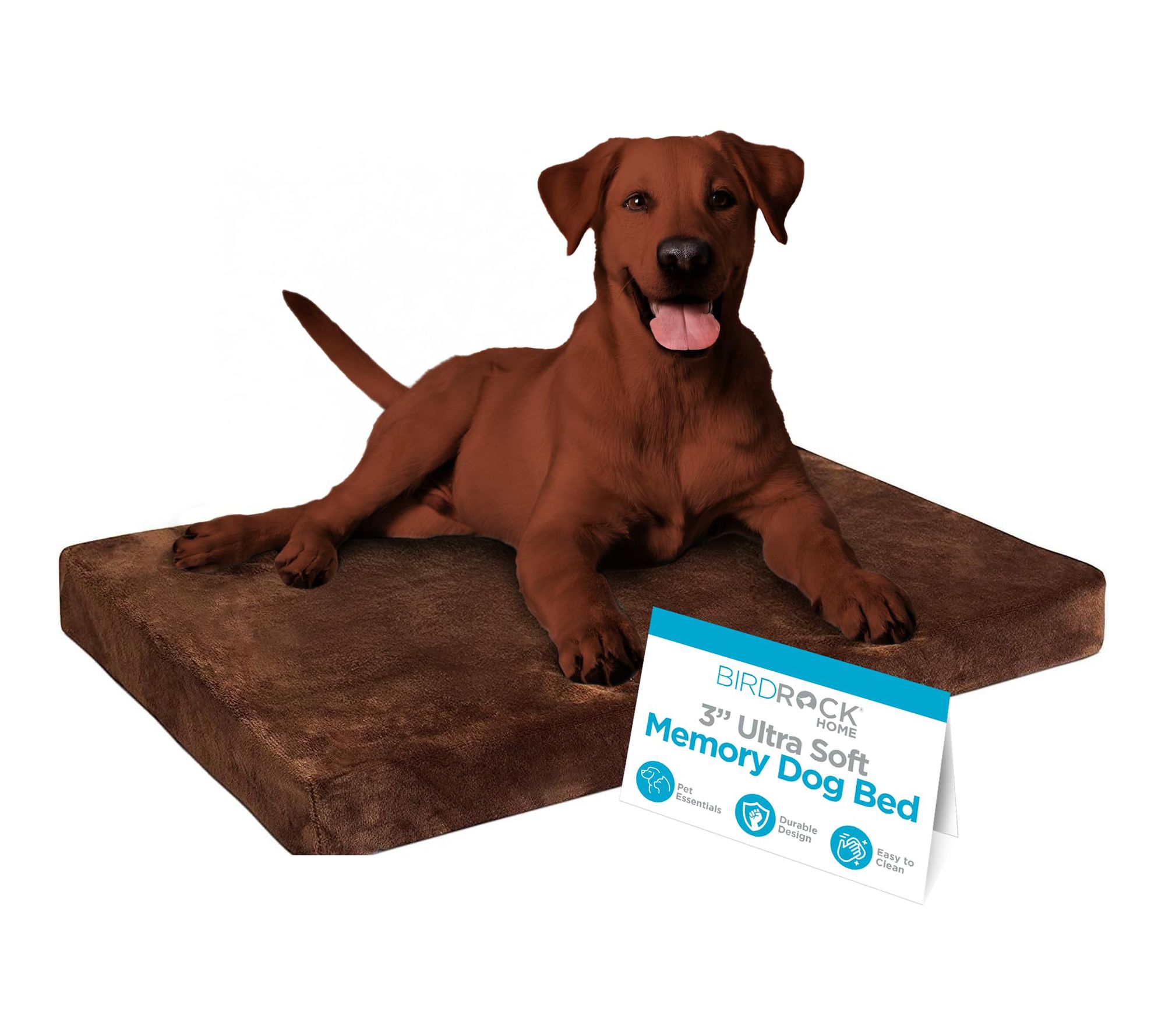 BirdRock Home 3" Memory Foam Large Dog Bed
