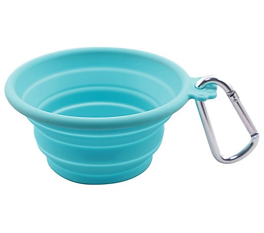 FFDPet Travel Bowl for Dogs & Cats Medium 26.5- oz Teal