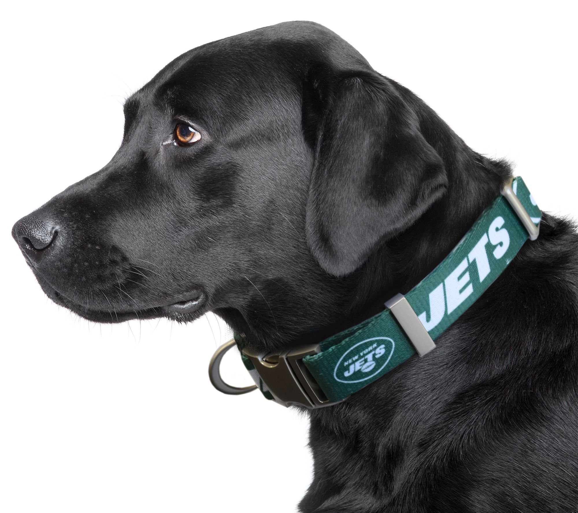 NFL Collars – Paws R Uz