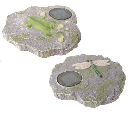 Set of 2 Dragonfly or Frog Solar Stepping Stones - QVC.com