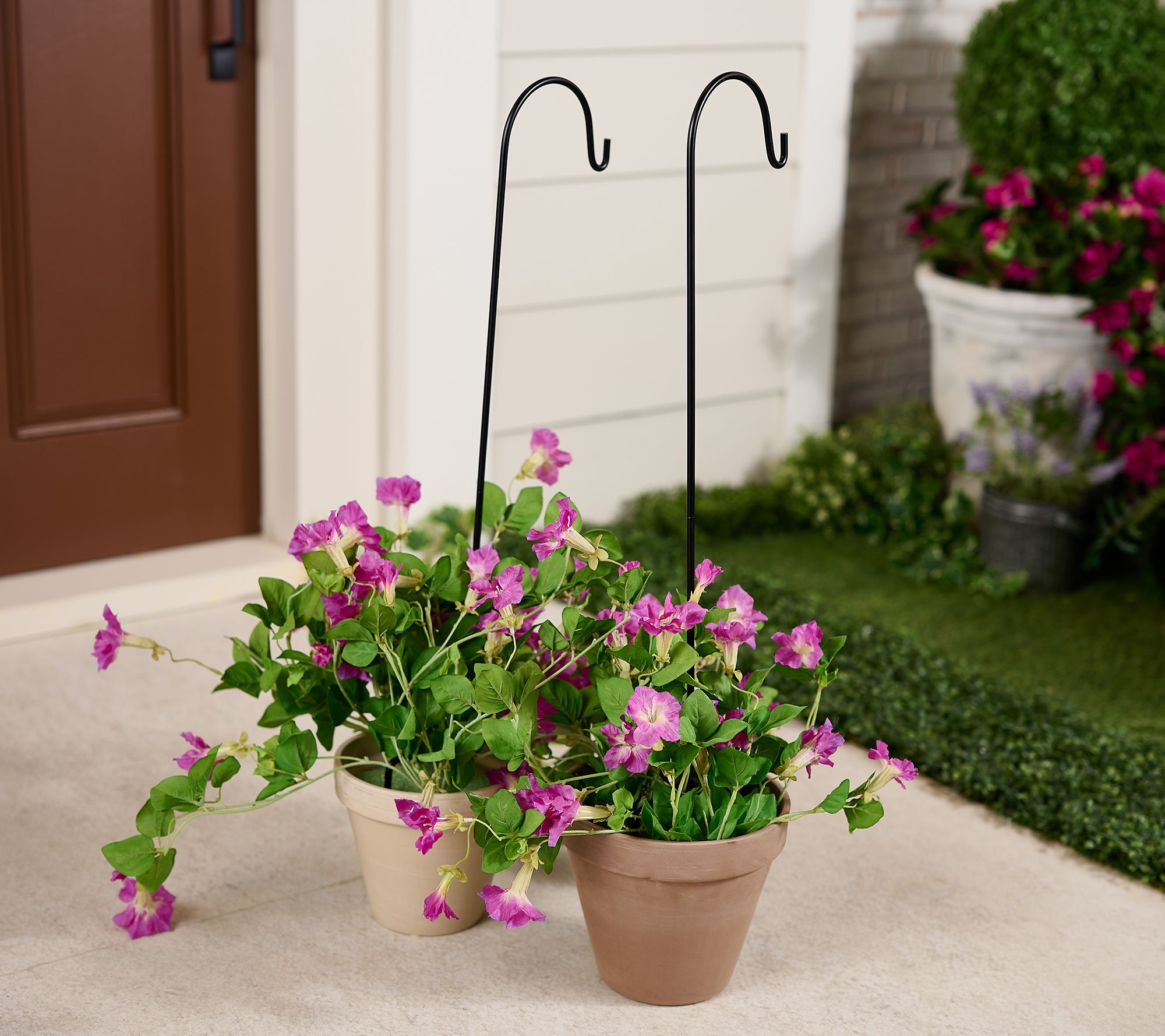 Garden Reflections Set of 2 33"H Metal Shepherd Hooks