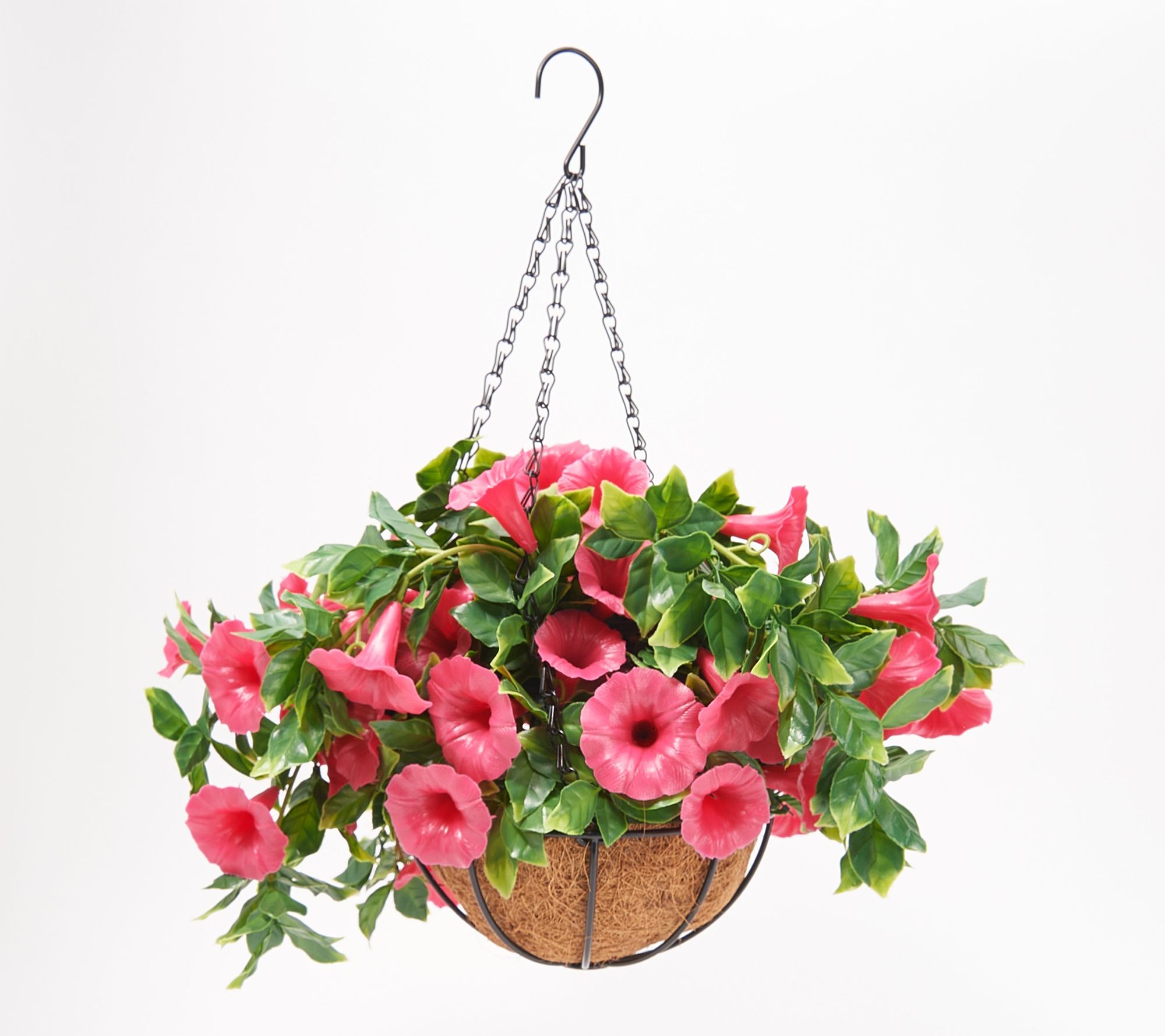 "As Is" Wicker Park 13" Draping Petunia Indoor/Outdoor Hanging Basket