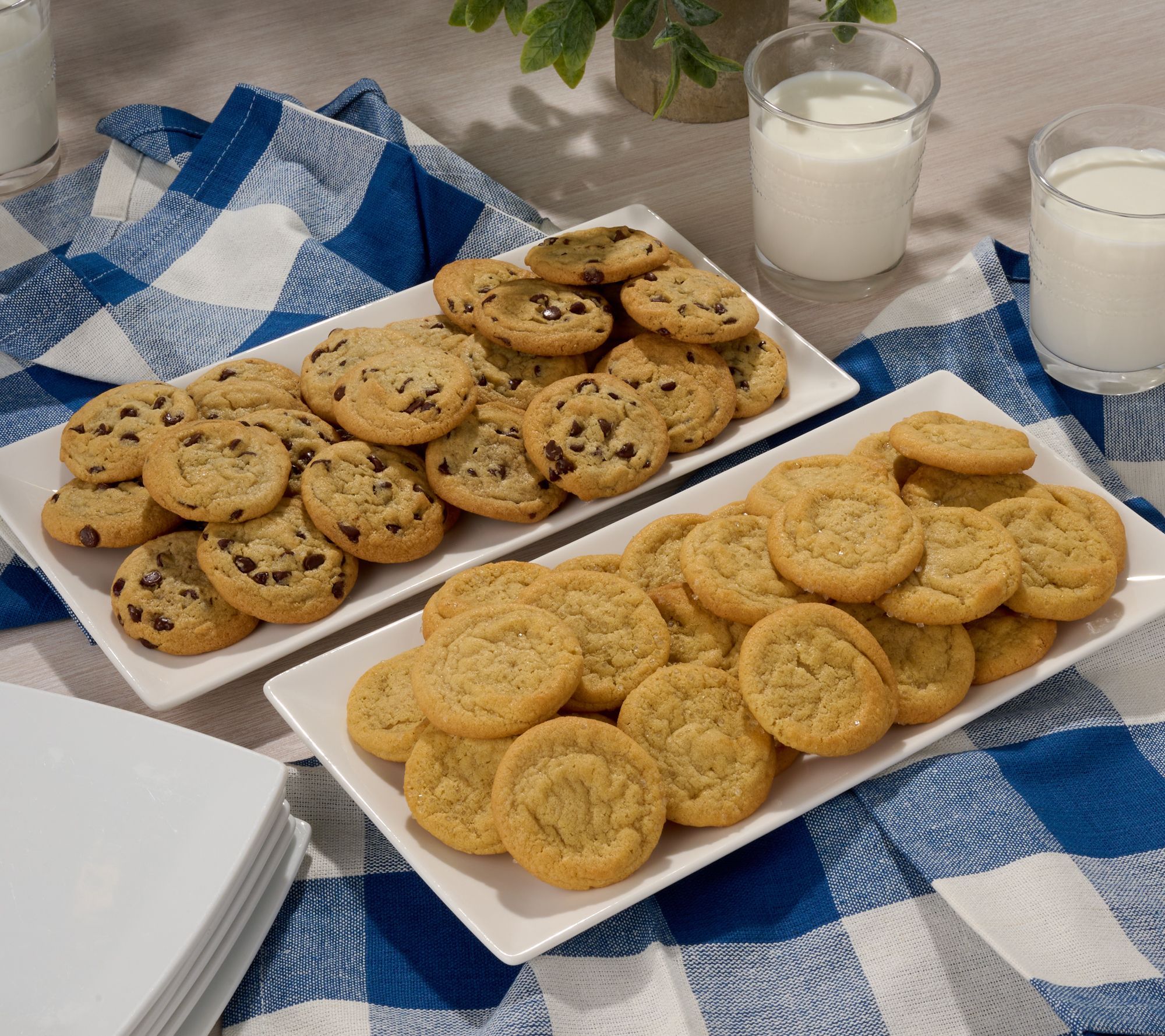 David's Cookies 192 Count Preformed Bite Size Cookie Dough