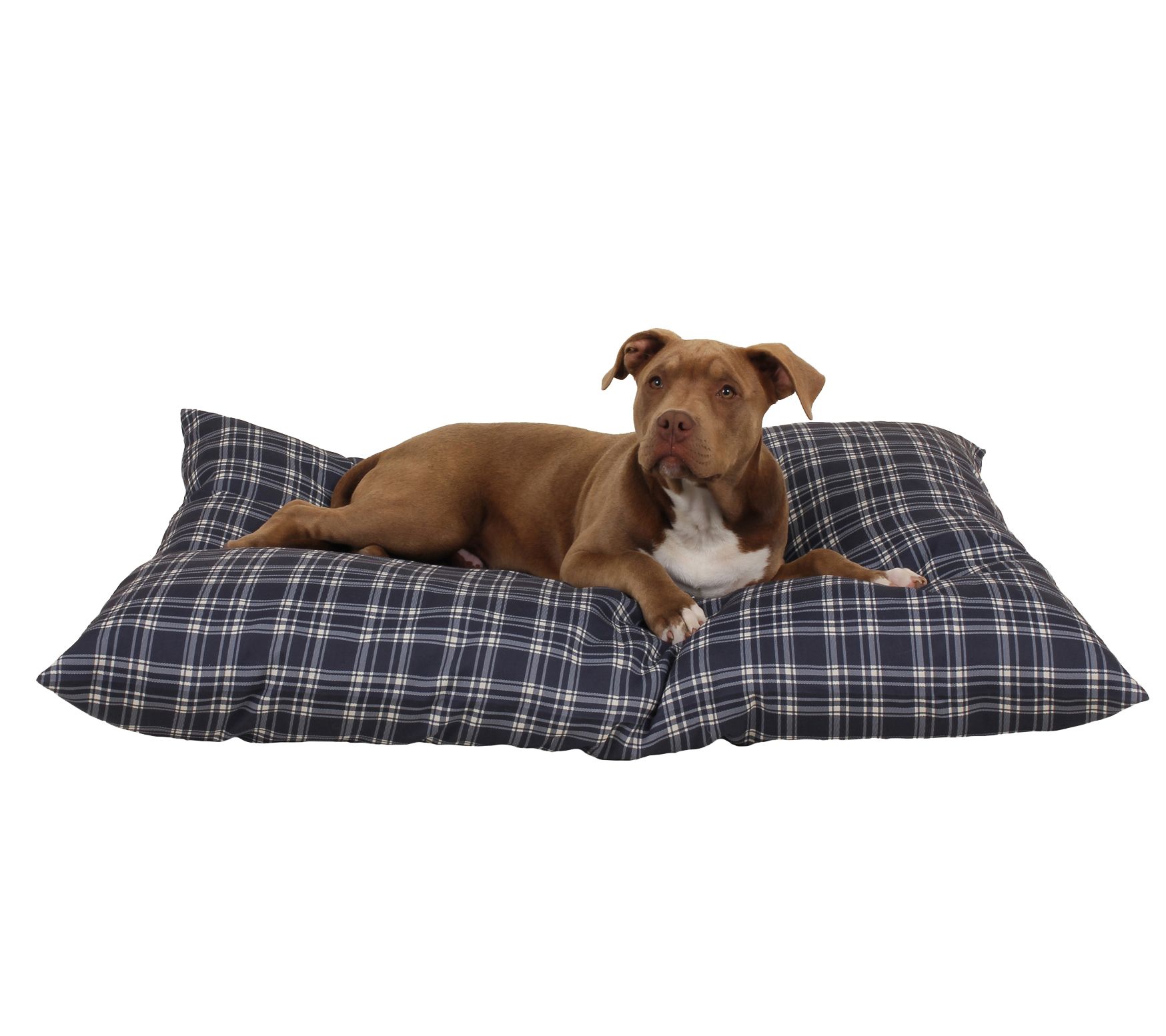 Carolina Pet Medium Plaid Shebang Indoor/Outdoor Dog Bed