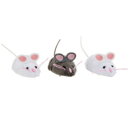 Set of 3 Interactive Robotic Mice Cat Toys - Page 1 — QVC.com