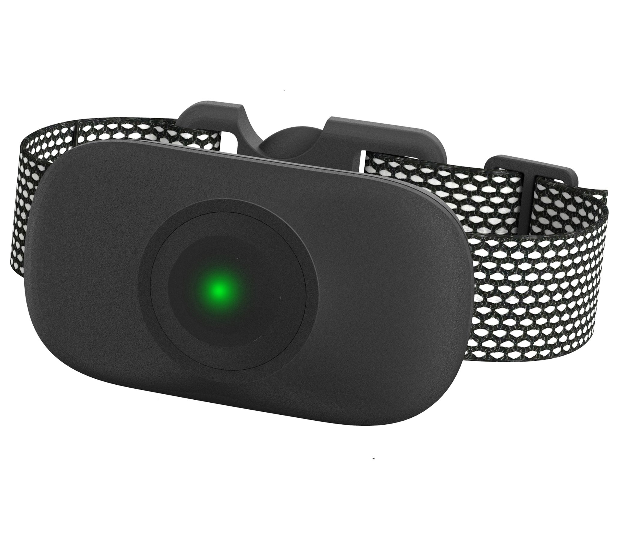 The Pet Life Ellipse LED 1-to-3 Dog 16-Level Dog Collar