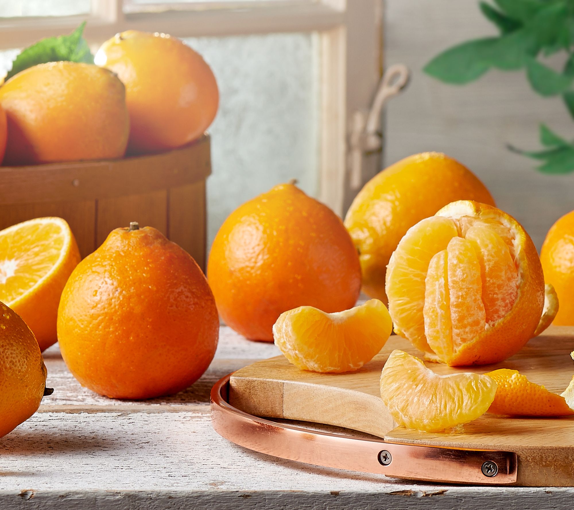 Ships 1/8 Cushman's 5lb Florida HoneyBell Citrus Box