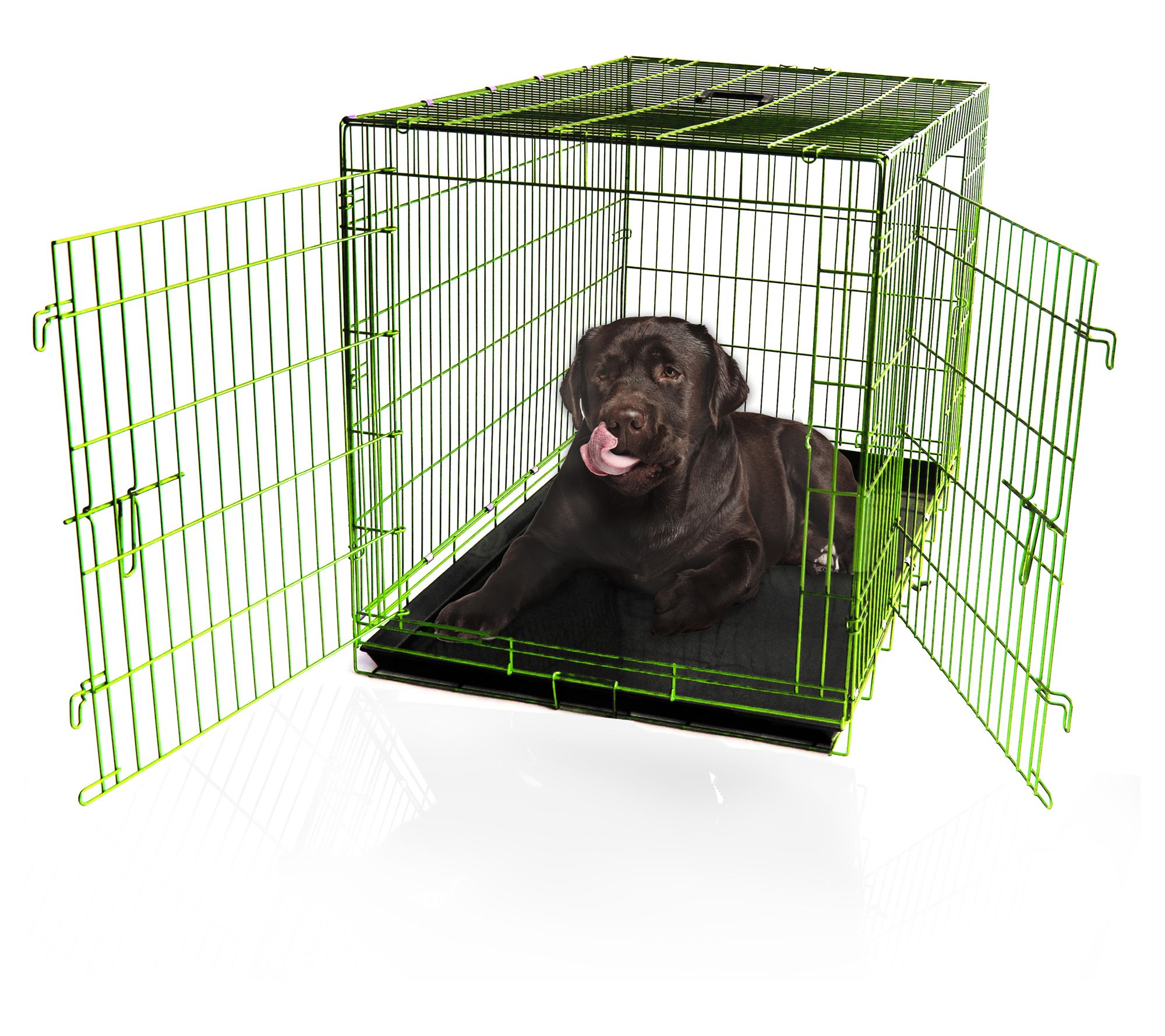 Backyard Expressions 48" Double Door Wire Dog Kennel