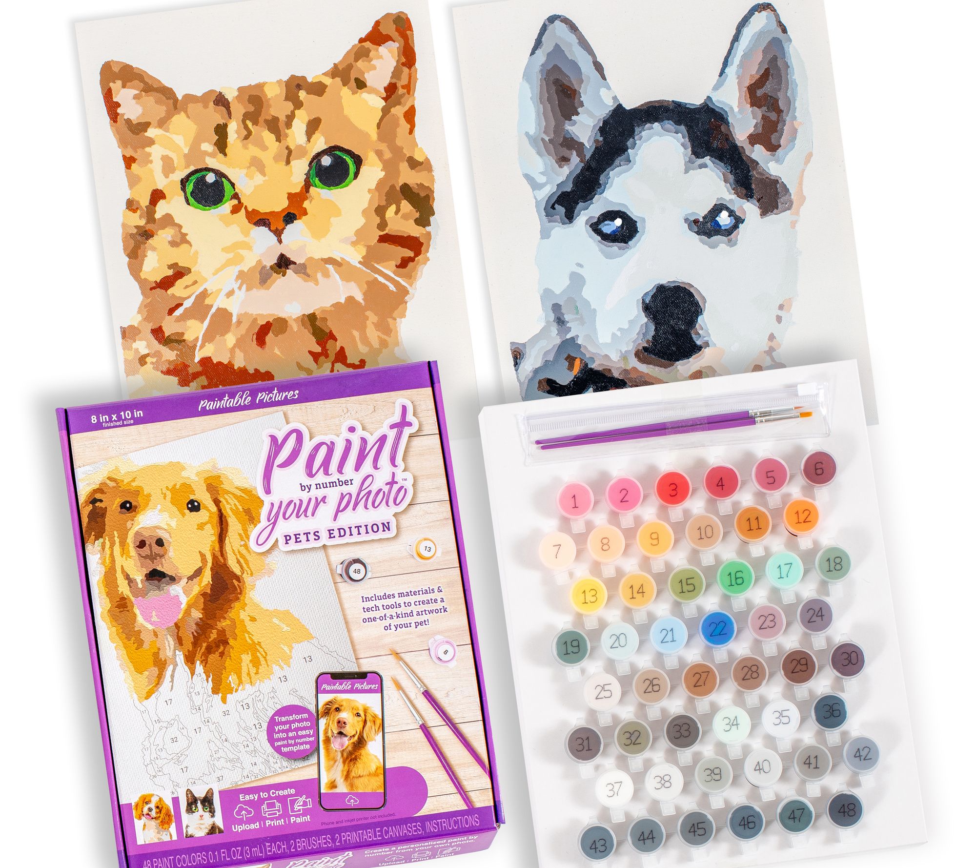 Paintable Pictures Customizable Paint Your Pet Photo by Number