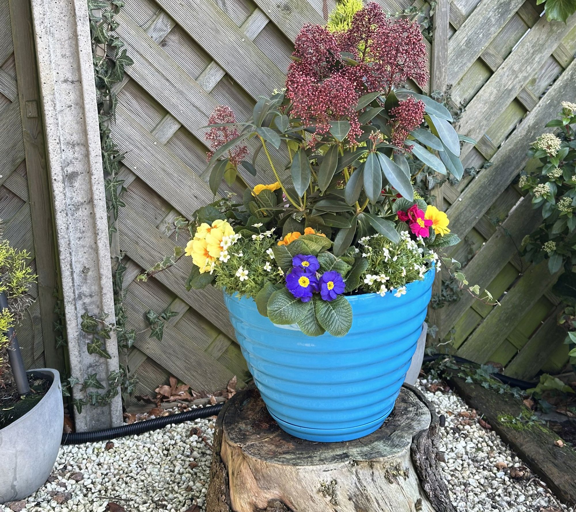 Jennings Set of 2 XL Twist 14" Planters