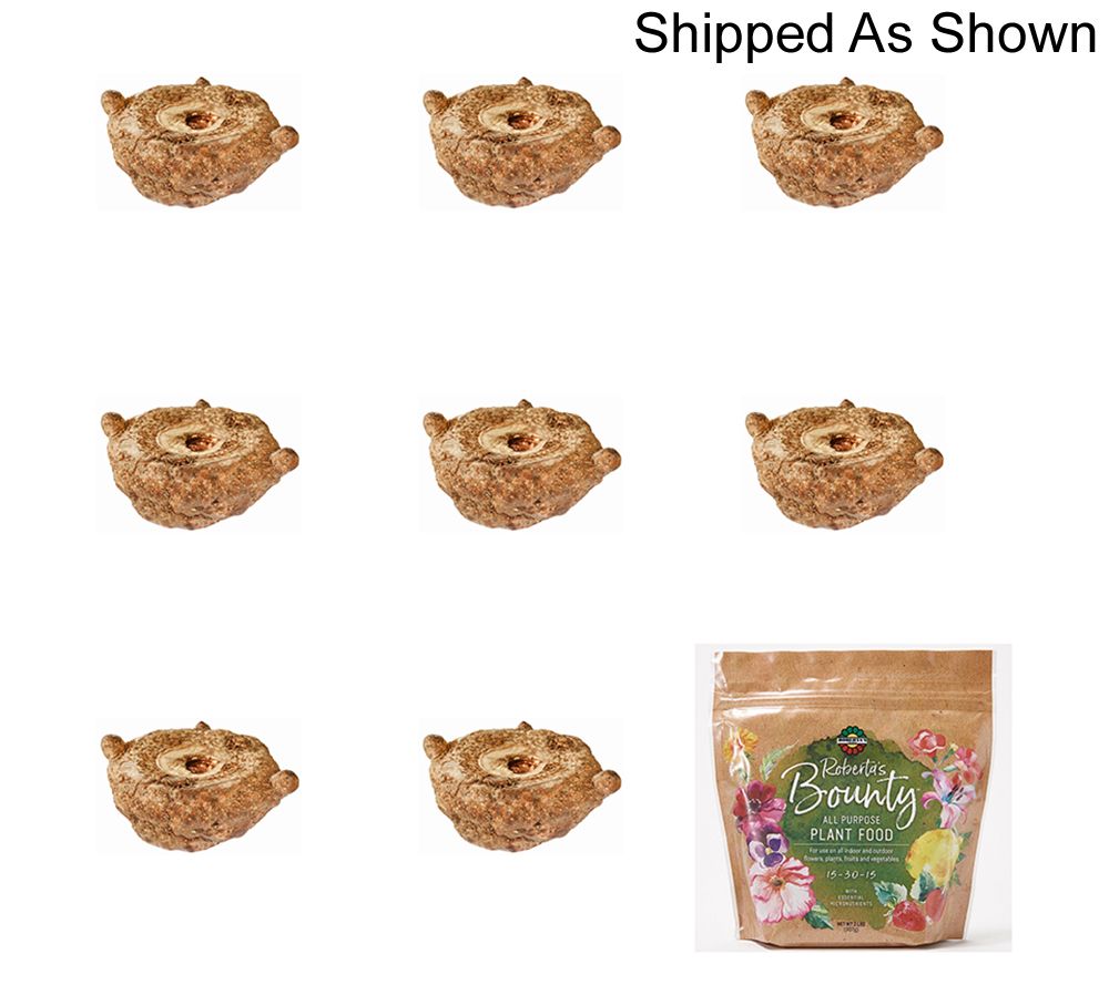 (QVC) Roberta's 8pc Calla Lily or Roselily Live Bulbs with Fertilizer