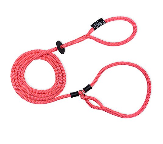 Harness Lead 2-in-1 Harness & Leash with Rubber Stops