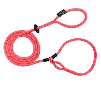 Harness Lead 2-in-1 Harness & Leash with Rubber Stops