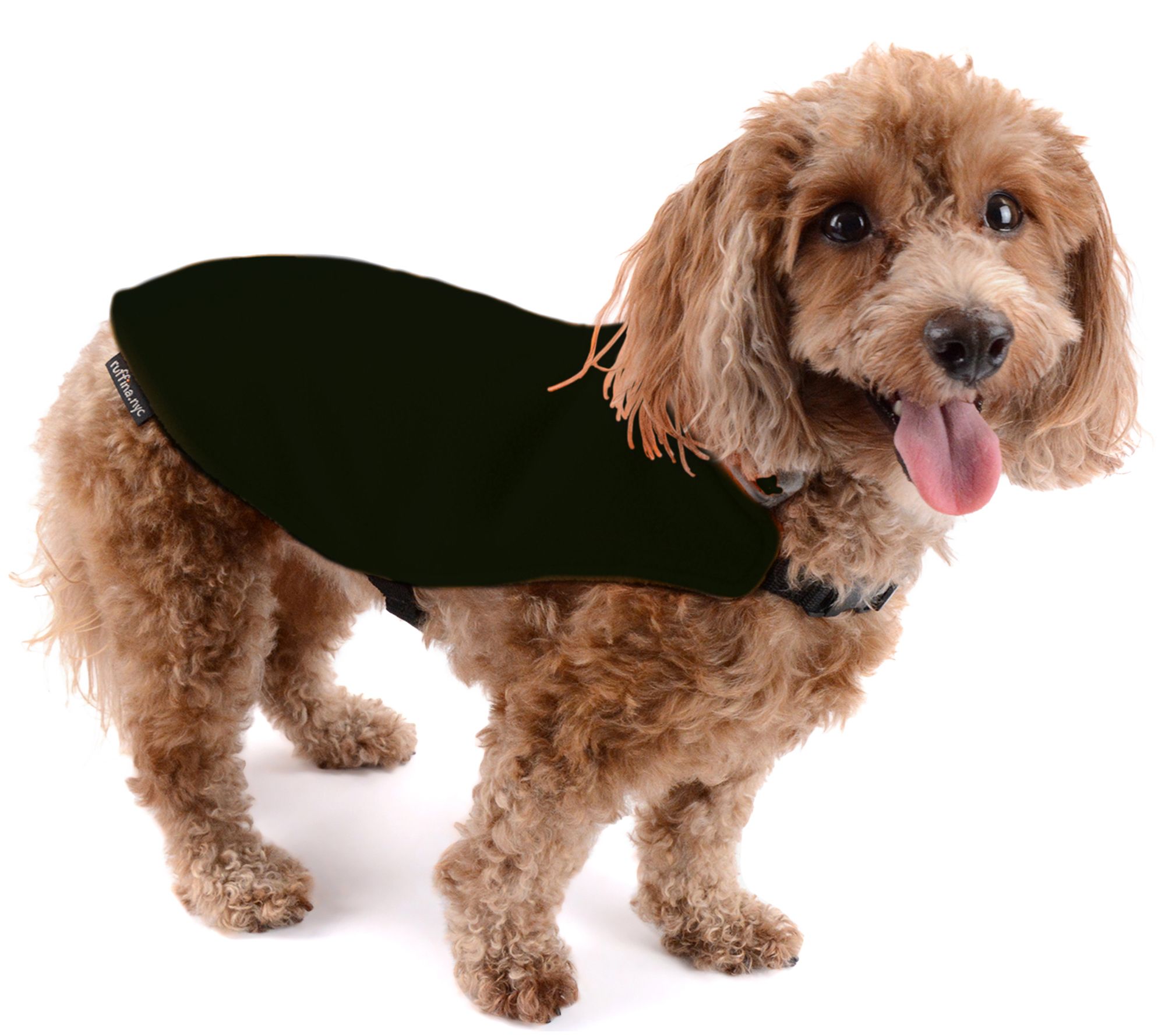 The Ruby Polartec Dog Coat - QVC.com