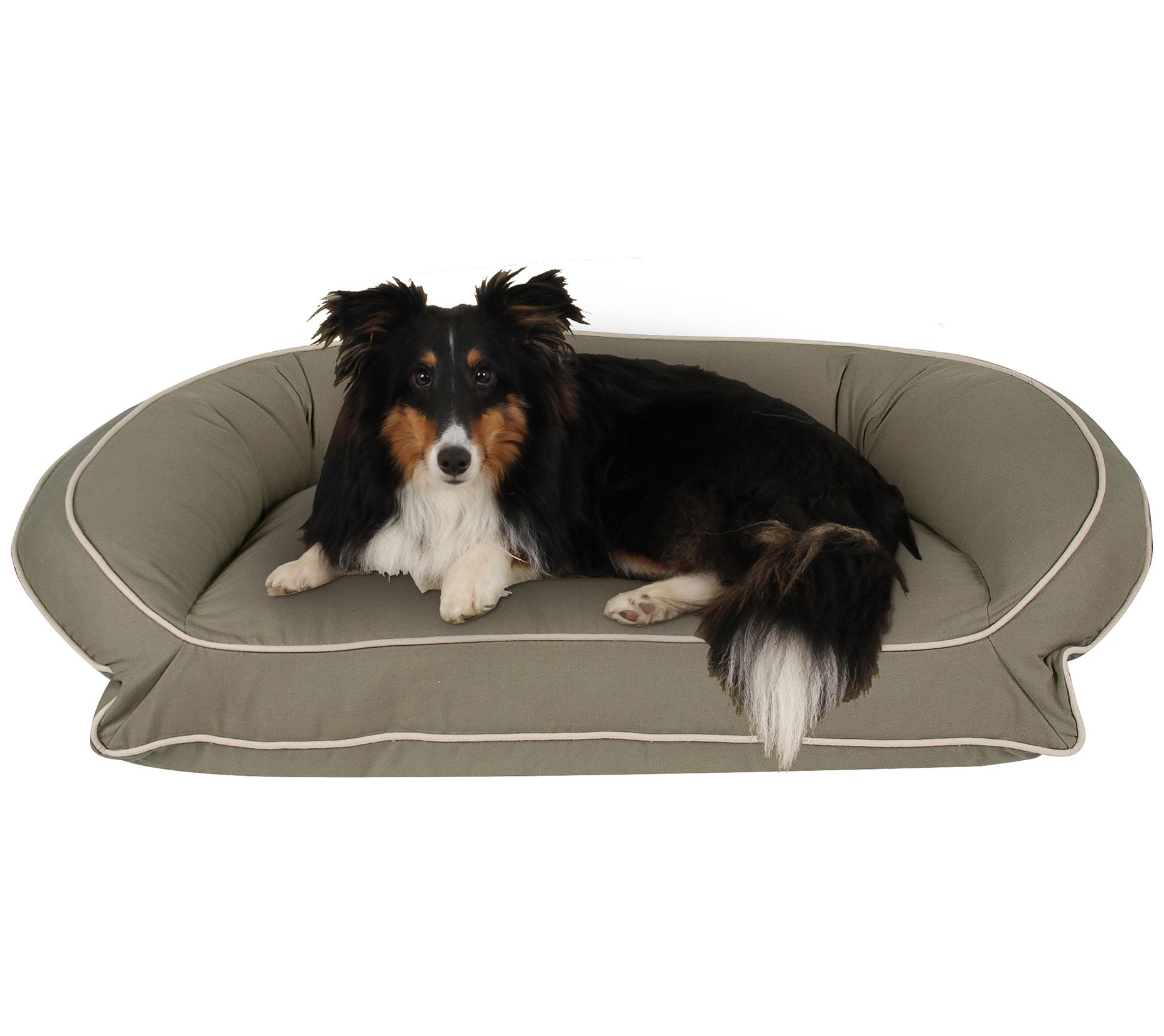 Qvc dog beds best sale