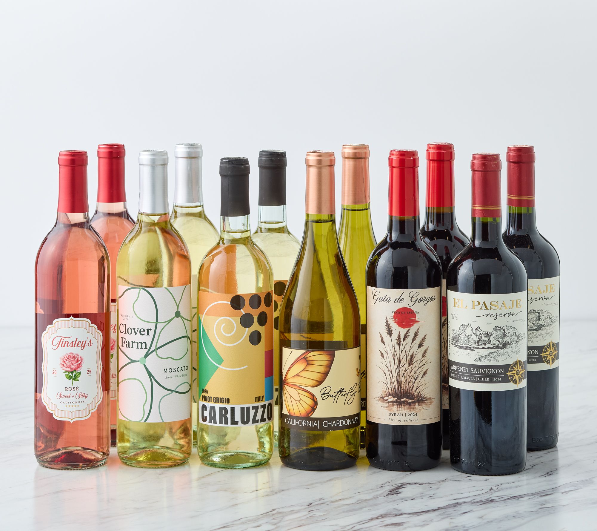 Vino Voyage Award Winning Wines (12) 750-ml Bottle Set