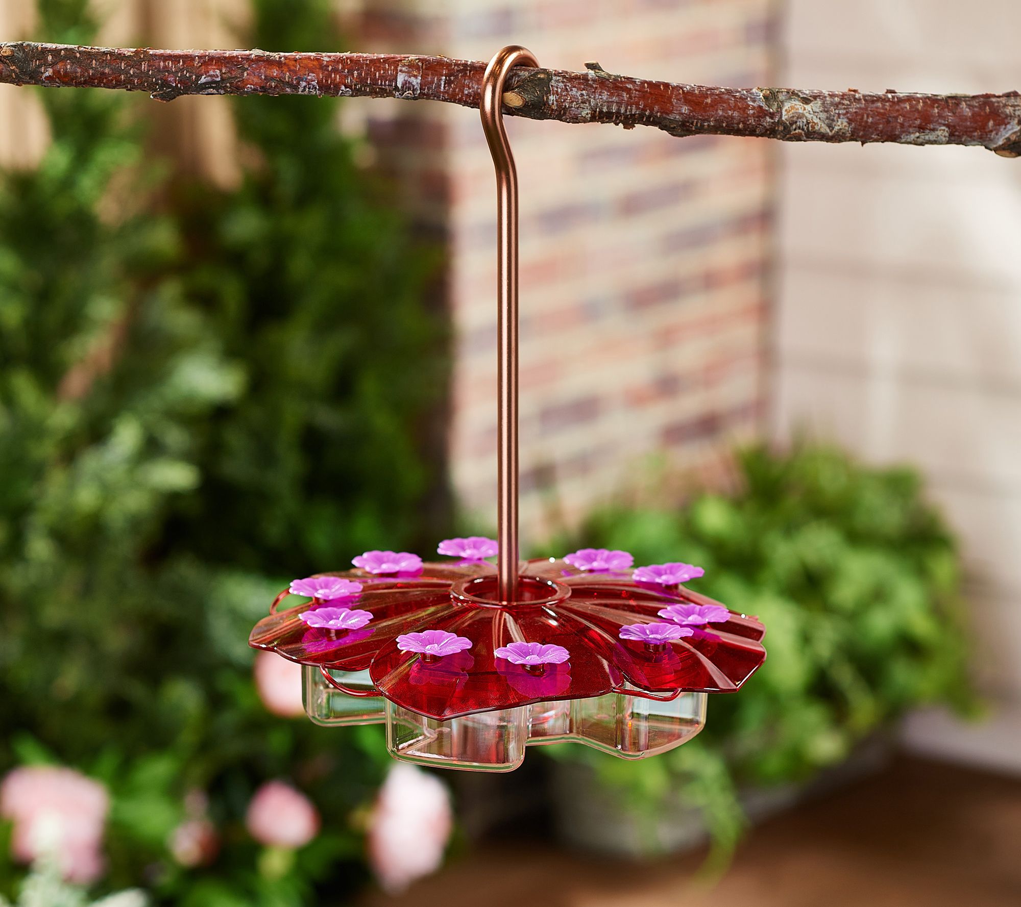 Ultimate Innovations Flat Hummingbird Feeder - QVC.com