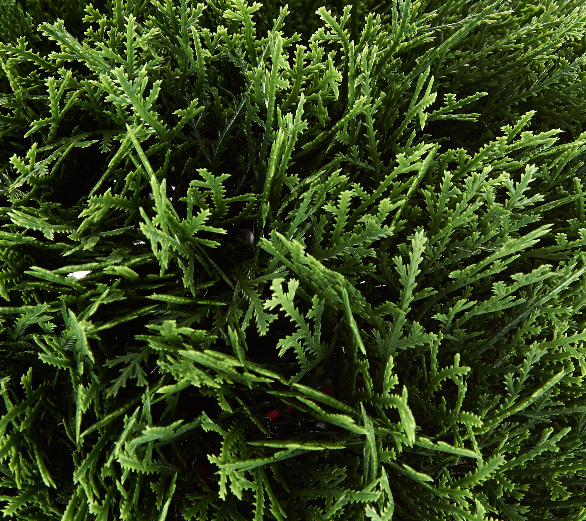 National Tree Indoor/Outdoor 15" Globe Cedar Shrub in Growers Pot