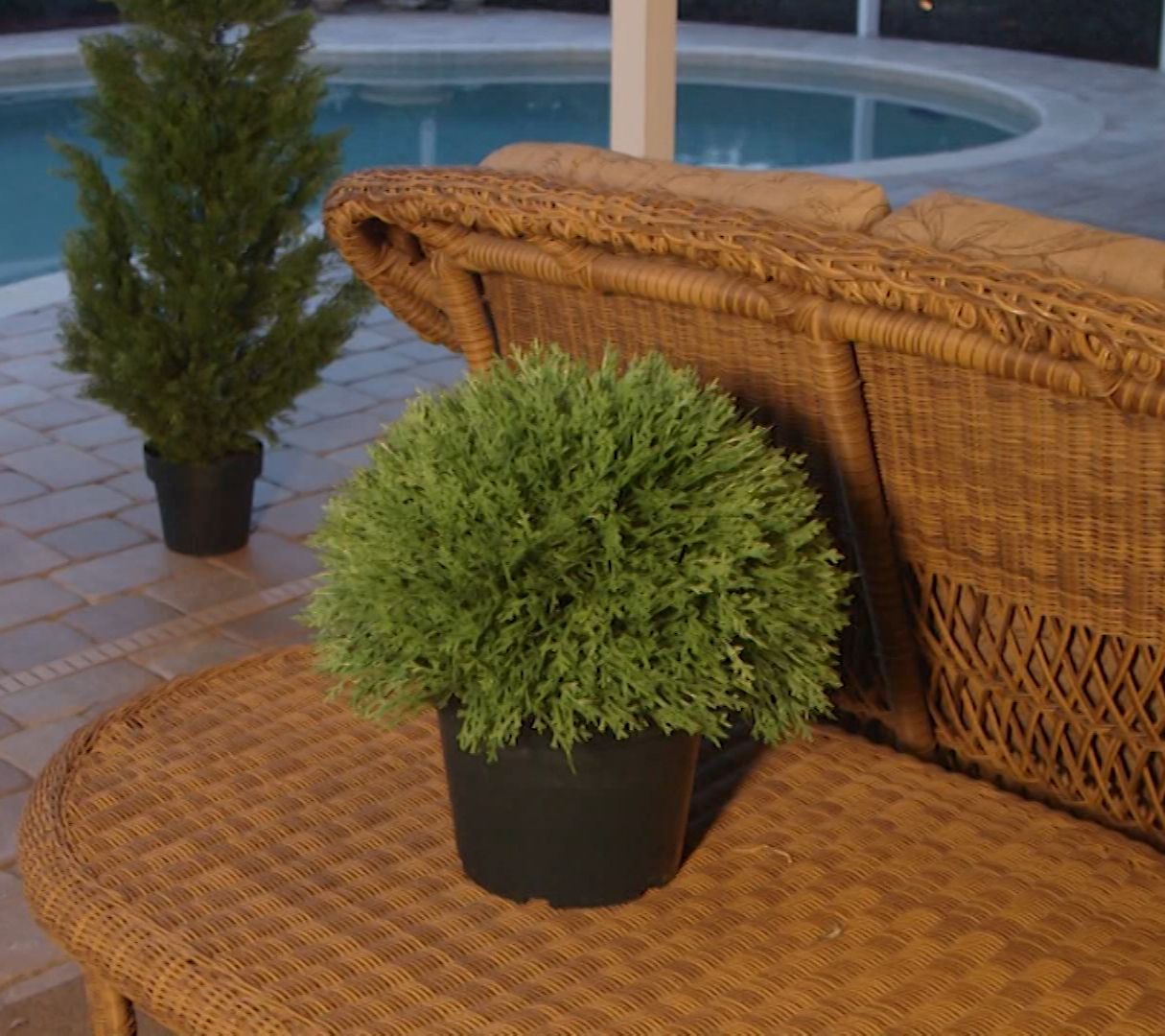 National Tree Indoor/Outdoor 15" Globe Cedar Shrub in Growers Pot