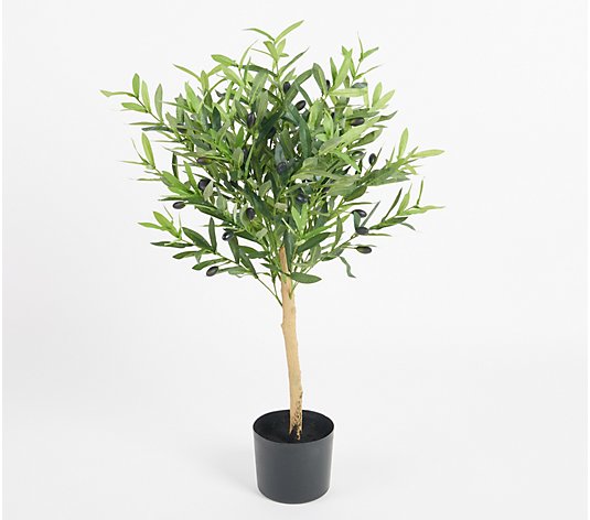 Wicker Park 3' Tall Indoor/Outdoor Faux Olive Tree in Growers Pot