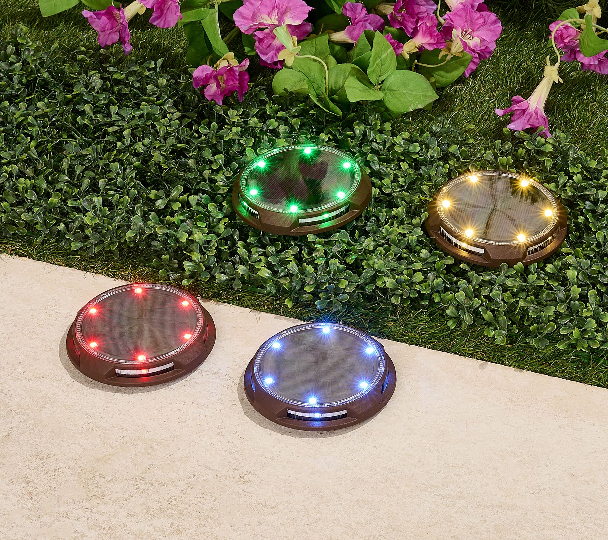 激安な 20-Lumen 8-pc Energizer Solar Color-on with Lights Disc その他