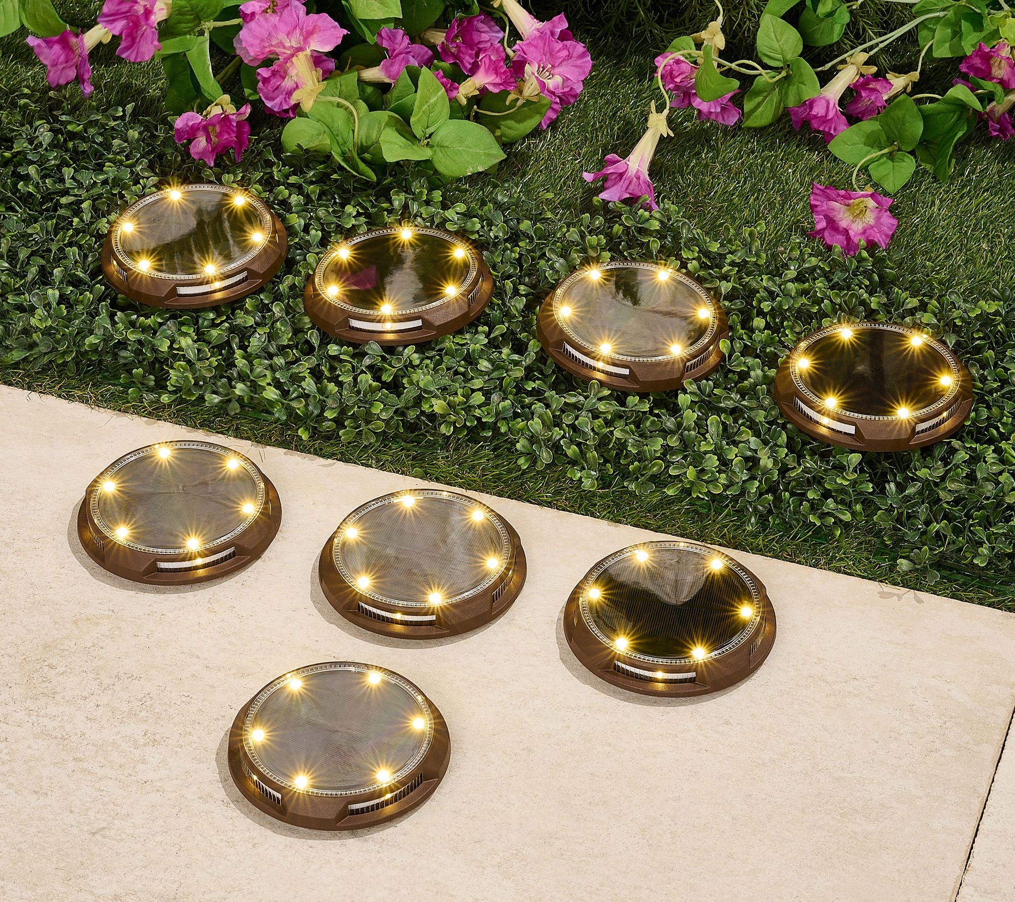 Energizer 8-pc 20-Lumen Solar Disc Lights with Color-on-Demand