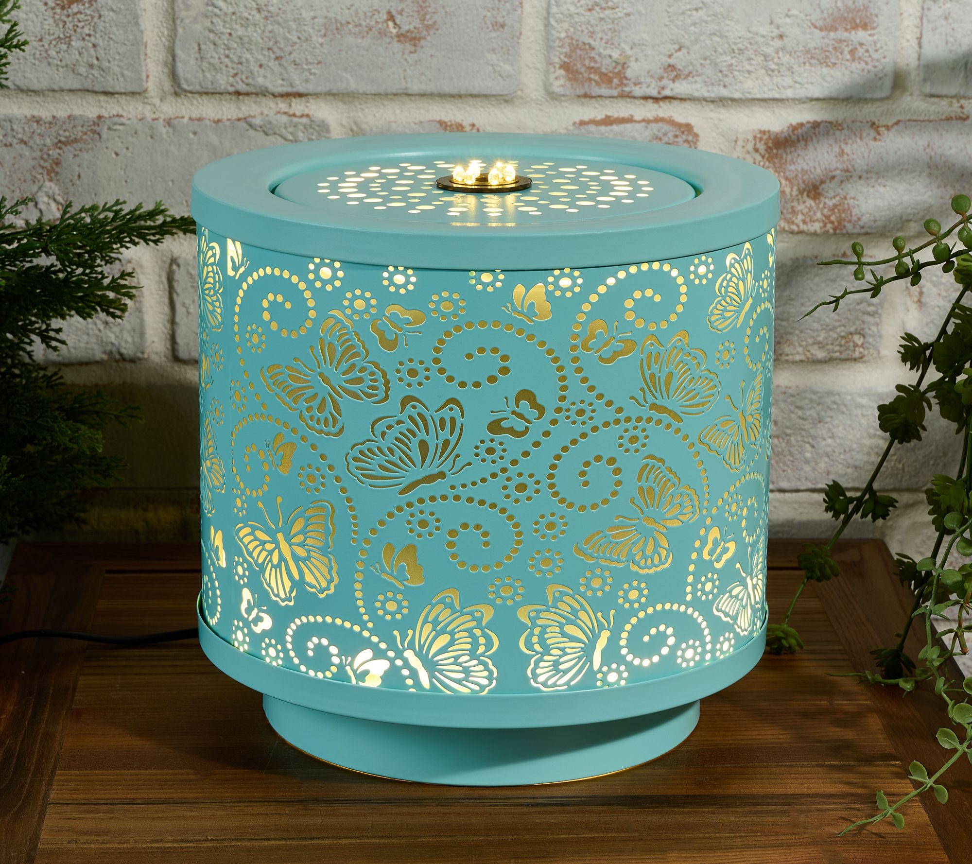 "As Is" Girl Next Door Illuminated Butterfly Fountain