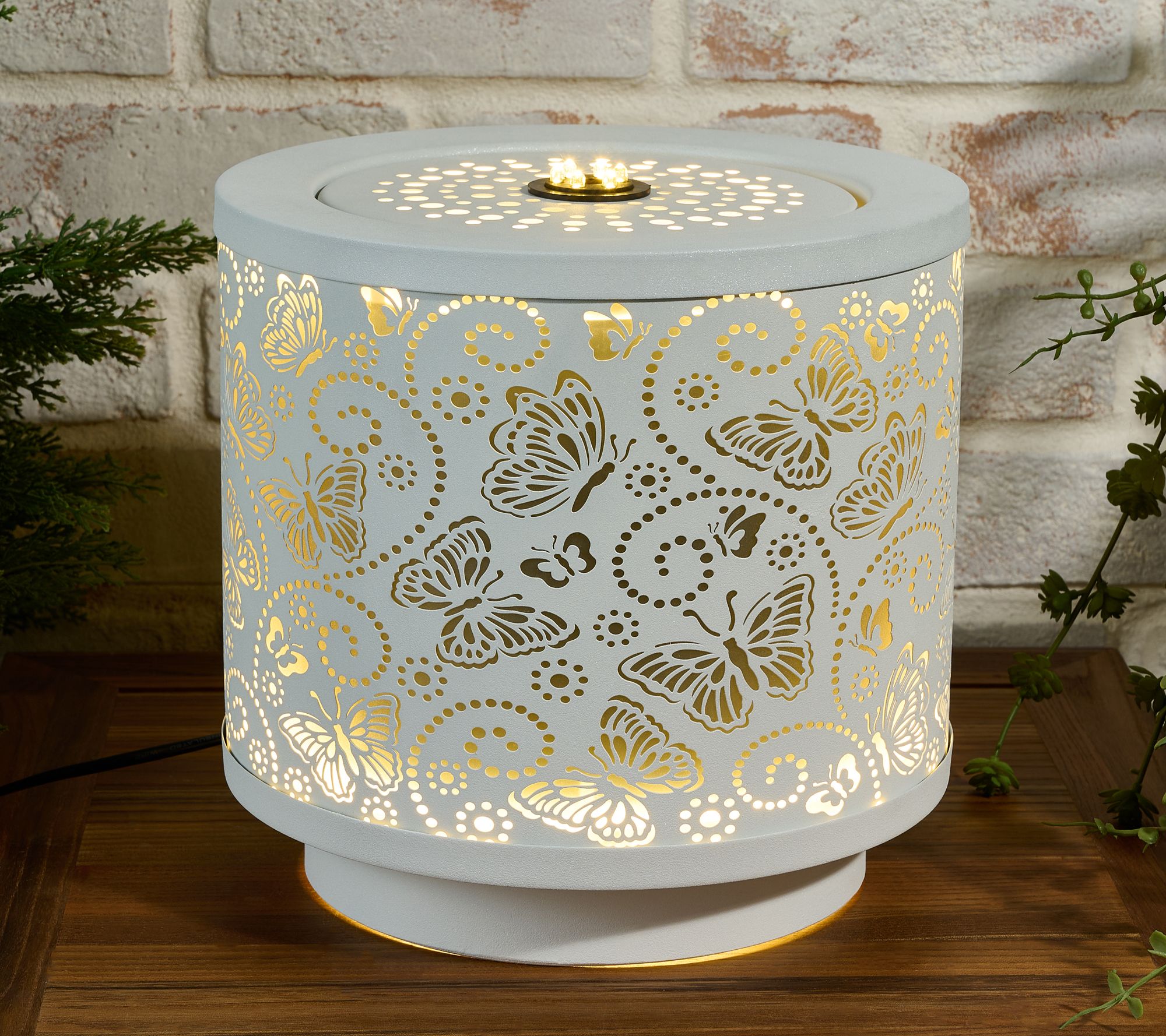 "As Is" Girl Next Door Illuminated Butterfly Fountain