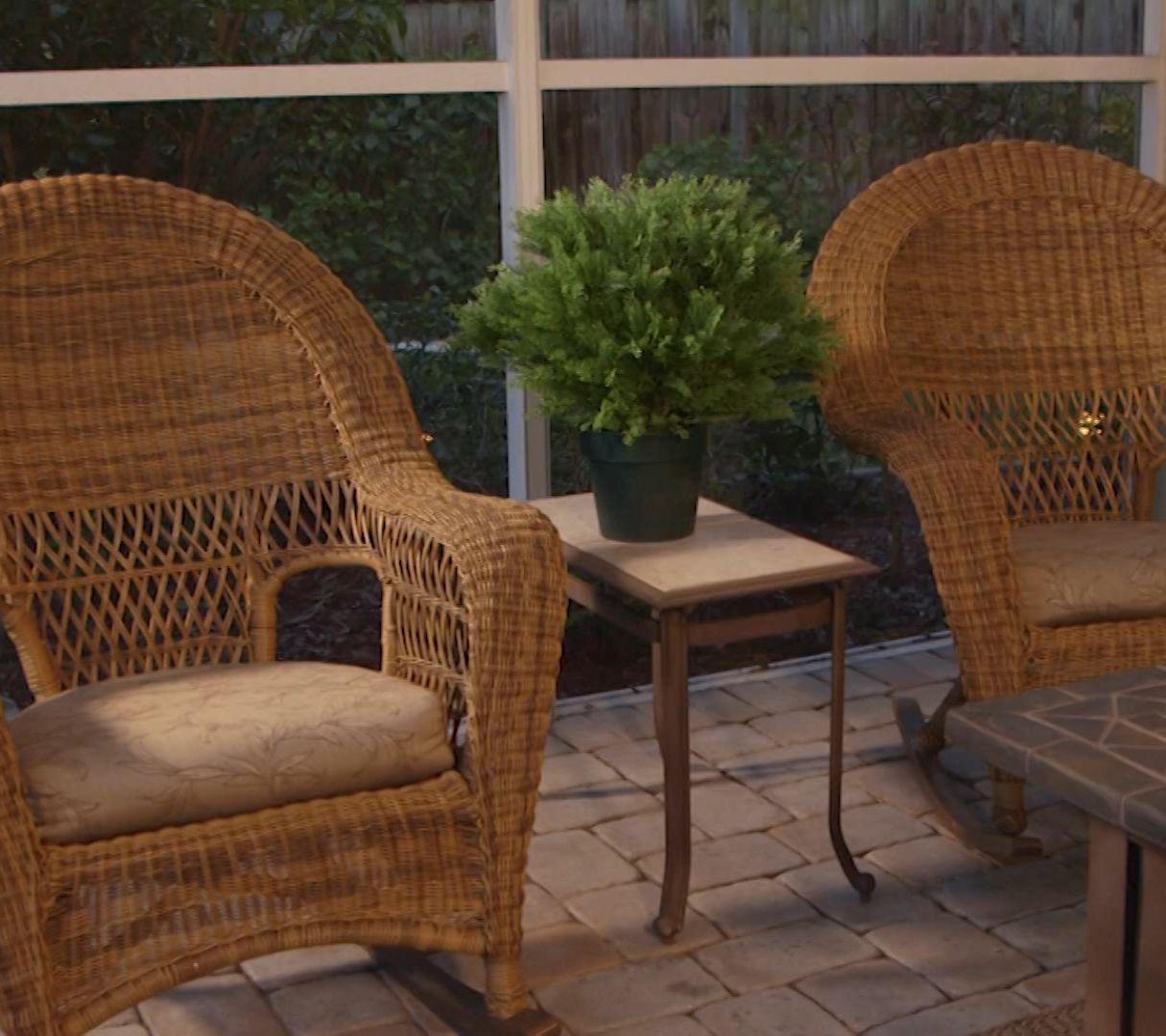 National Tree Indoor/Outdoor Globe Cedar Shrub in Growers Pot