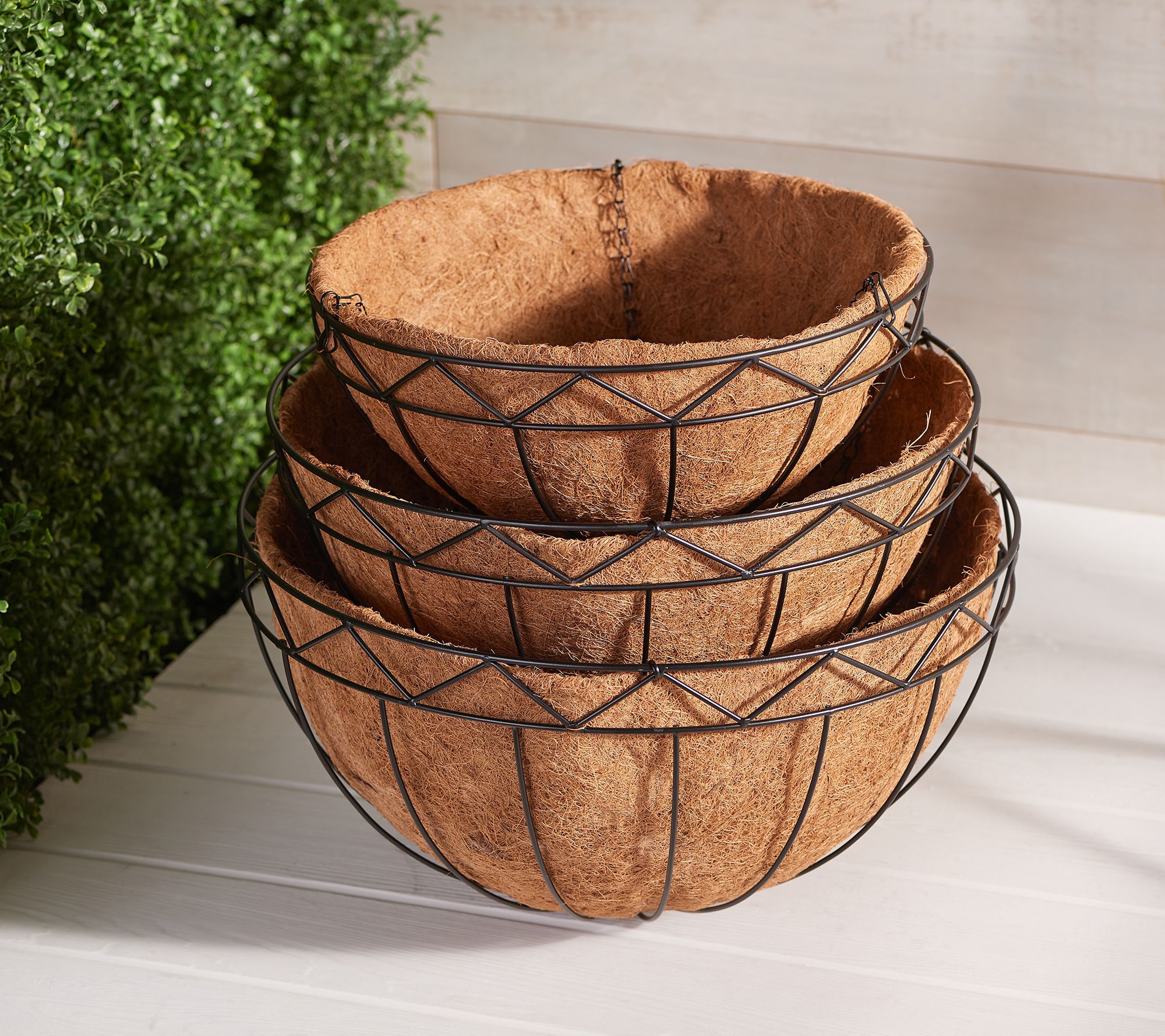 Metal Hanging Basket with Coco Liner by Linda Vater