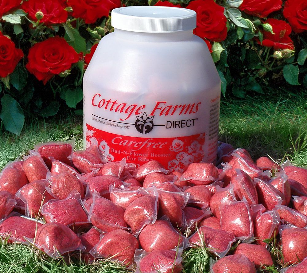 Cottage Farms Bud N Flower Rose Booster Fertilizer Packs Page 1