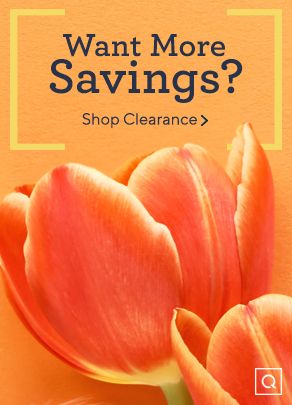 Want More Savings? Shop Clearance