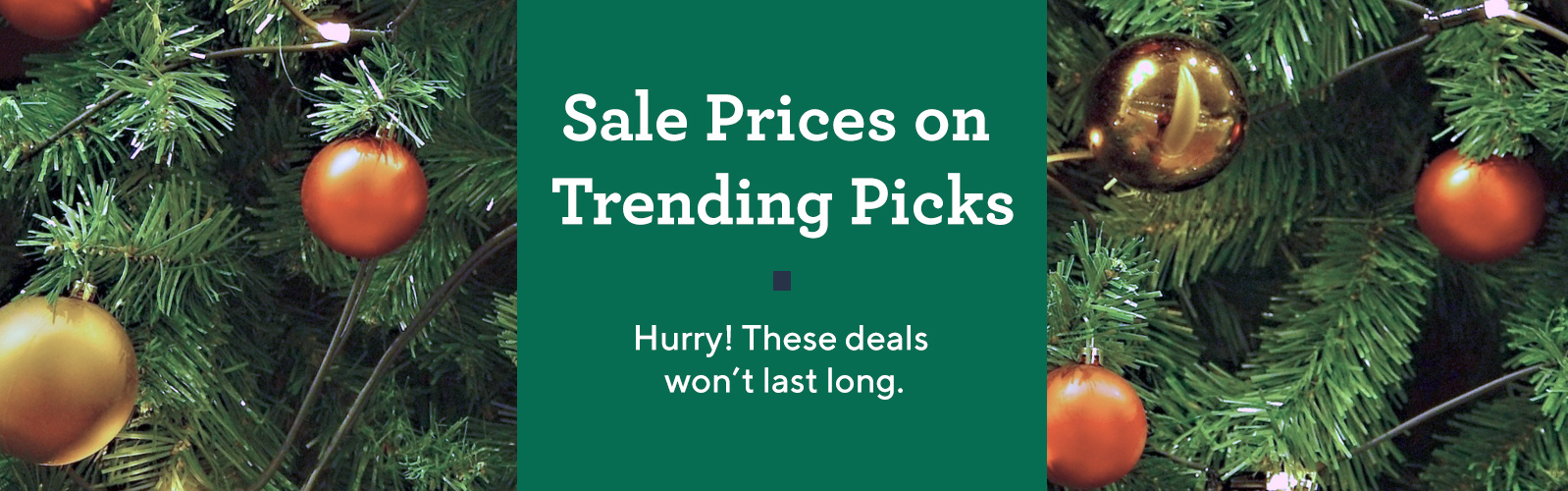 Sale Prices on Trending Picks  Hurry! These deals won't last long.