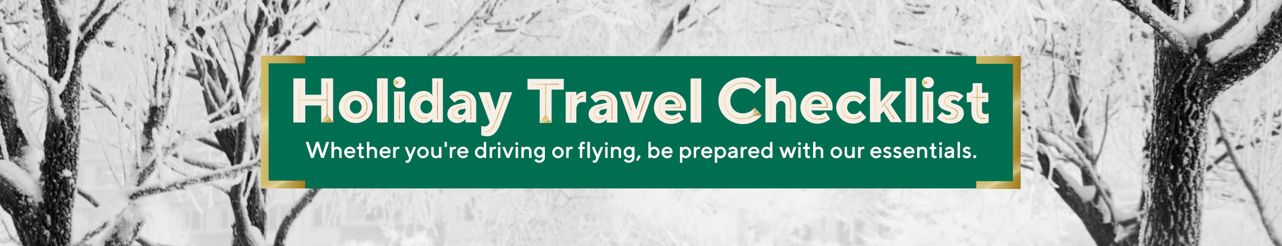 Holiday Travel Checklist  Whether you're driving or flying, be prepared with our essentials.