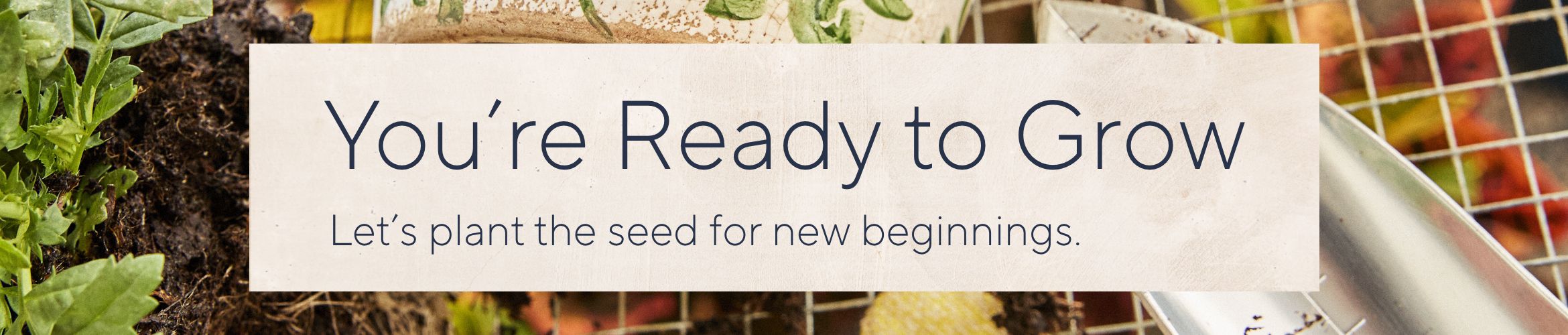 You're Ready to Grow: Let's plant the seed for new beginnings.