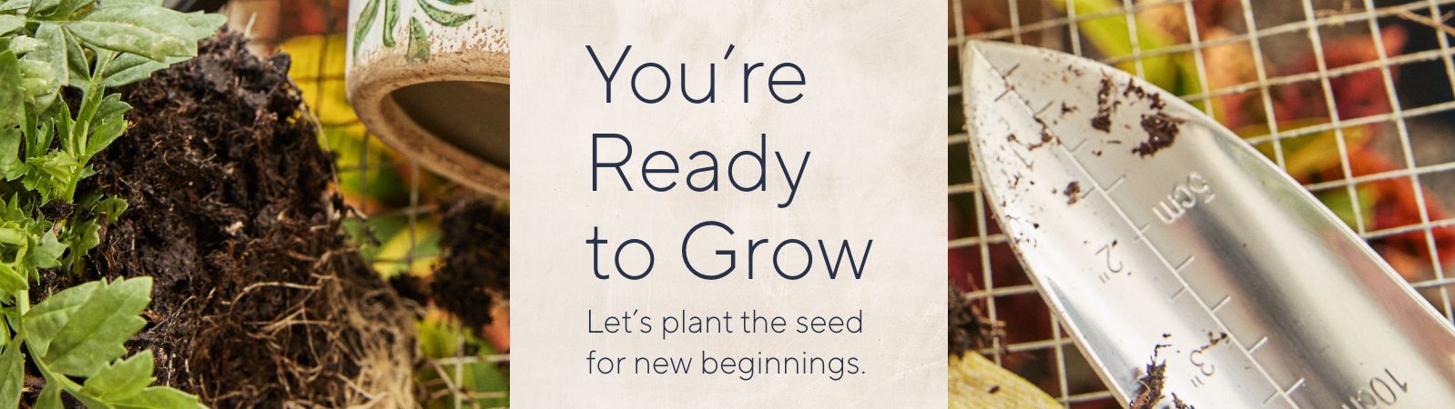 You're Ready to Grow: Let's plant the seed for new beginnings.