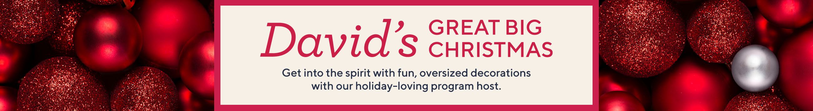 David's Great Big Christmas  Get into the spirit with fun, oversized decorations with our holiday-loving program host.