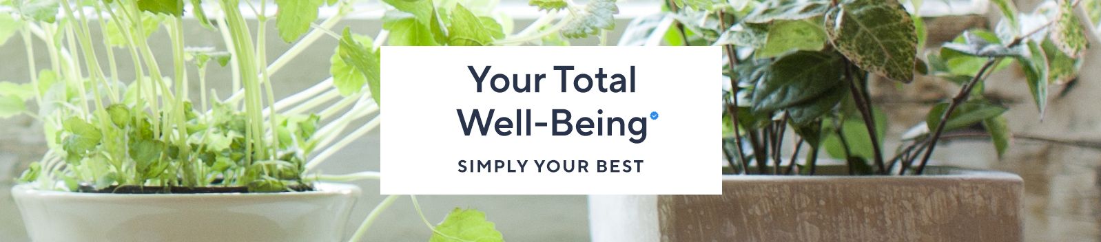 Your Total Well-Being. Simply Your Best