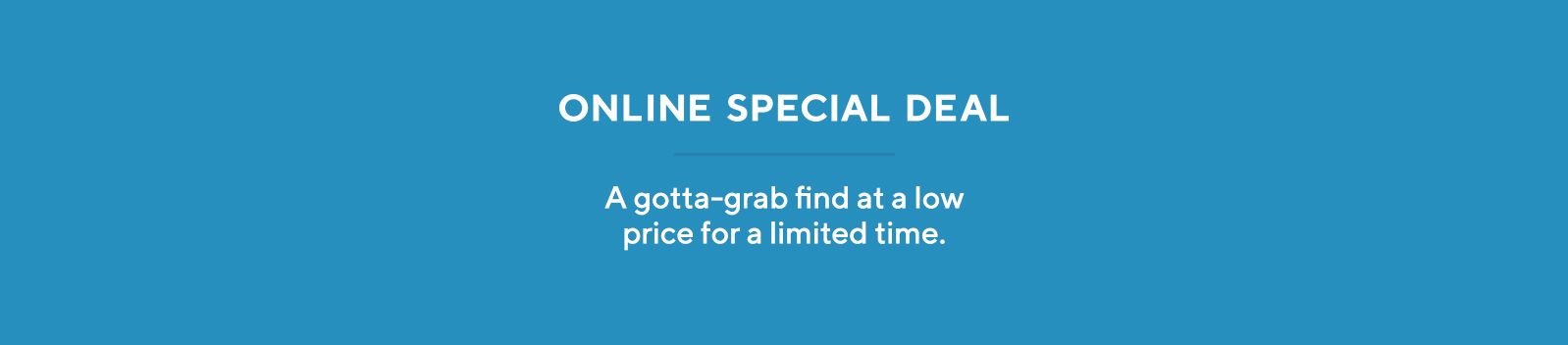 Online Special Deal: A gotta-grab find at a low price for a limited time.