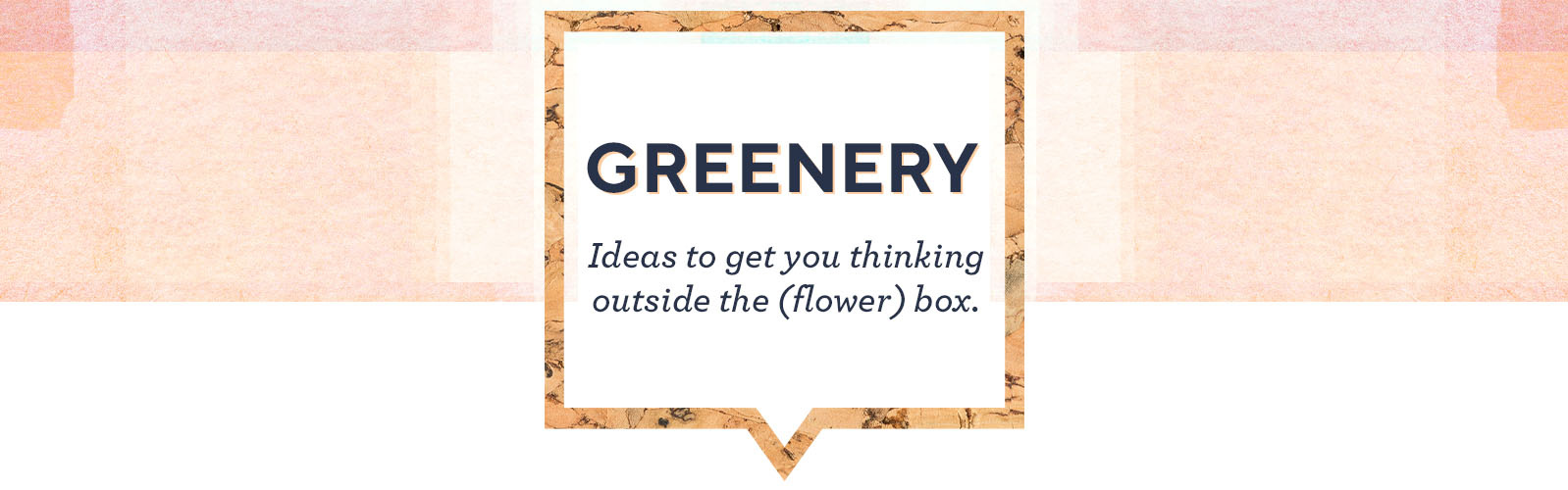 Greenery - Ideas to get you thinking outside the (flower) box.