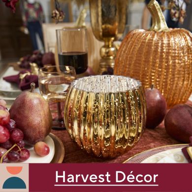 Harvest Décor