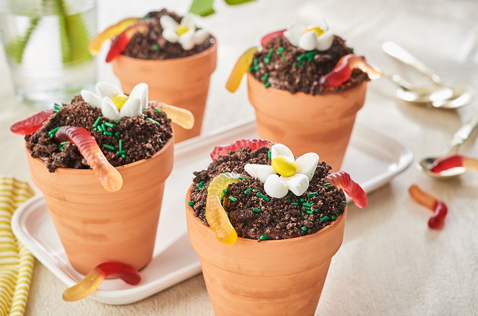Garden Cupcakes