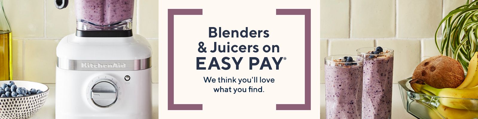 Blender & Juicers on Easy Pay®  We think you'll love what you find. 