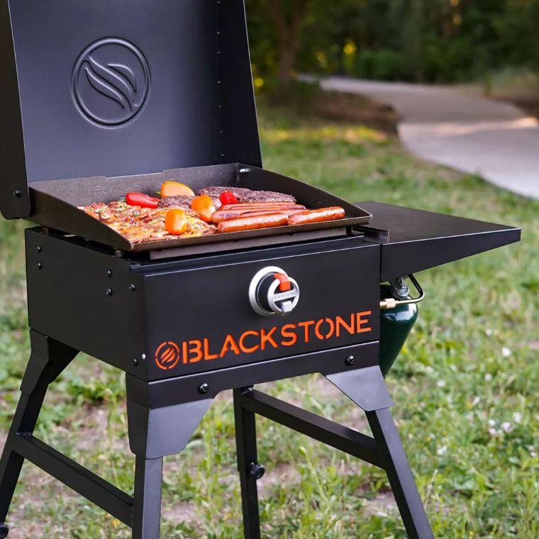 Ninja Woodfire 8-in-1 Outdoor BBQ Smoker and Pizza Oven on QVC 