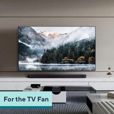 For the TV Fan