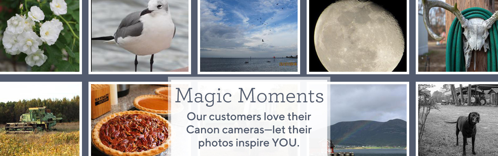Magic Moments.  Our customers love their Canon cameras—let their photos inspire YOU.